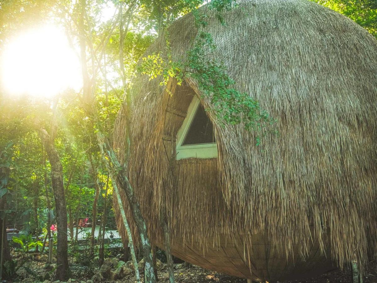 Casa Del Arbol At Villa Duendes Akumal Exterior foto